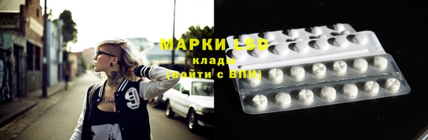 ГАЛЛЮЦИНОГЕННЫЕ ГРИБЫ Беломорск