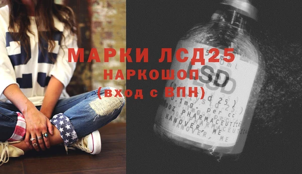 ГАЛЛЮЦИНОГЕННЫЕ ГРИБЫ Беломорск