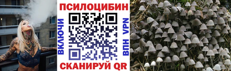 Галлюциногенные грибы GOLDEN TEACHER  Вышний Волочёк 