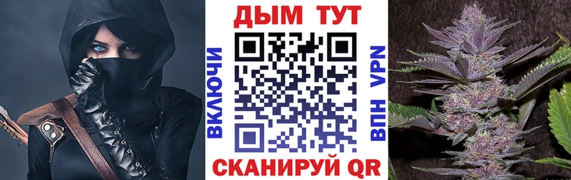 Конопля семена  где купить наркоту  мега зеркало  Вышний Волочёк 